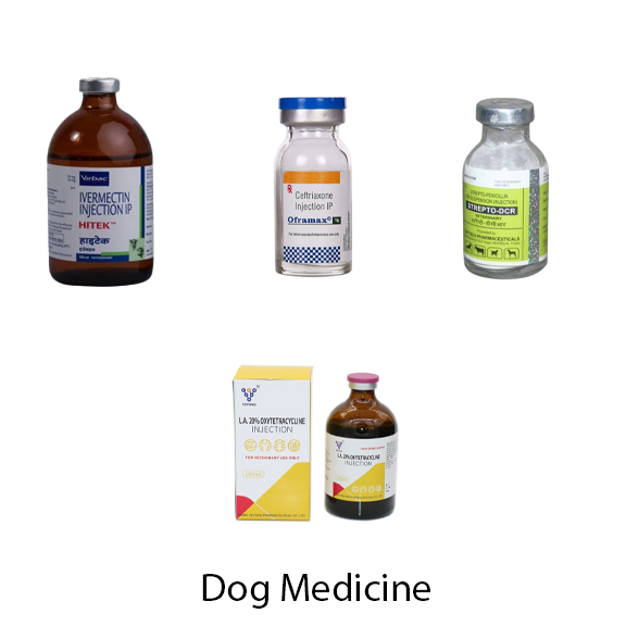 Dog Medicine