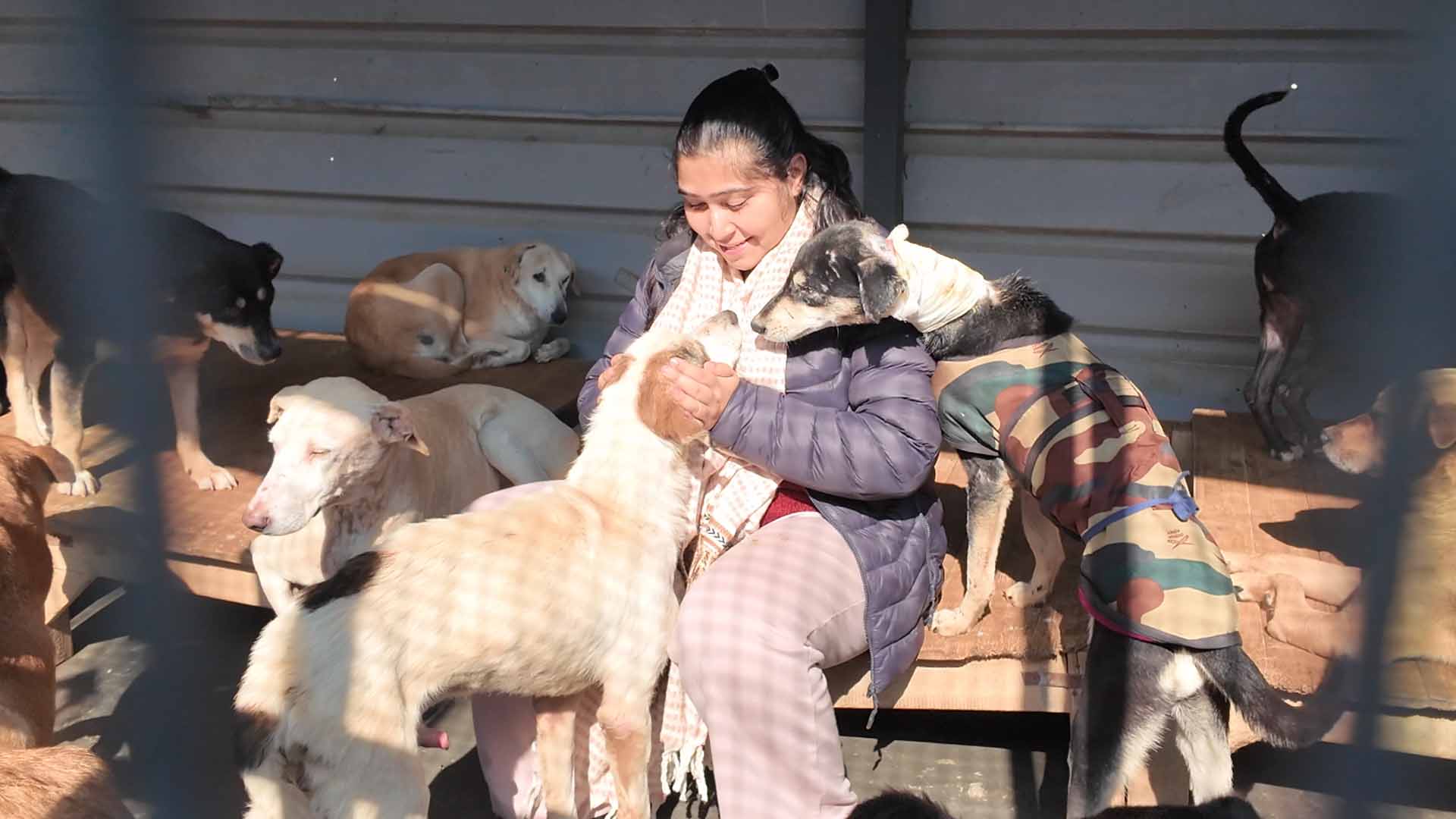 Help Ritika Rescue And Care For Thousands Of Abandoned And Abused ...